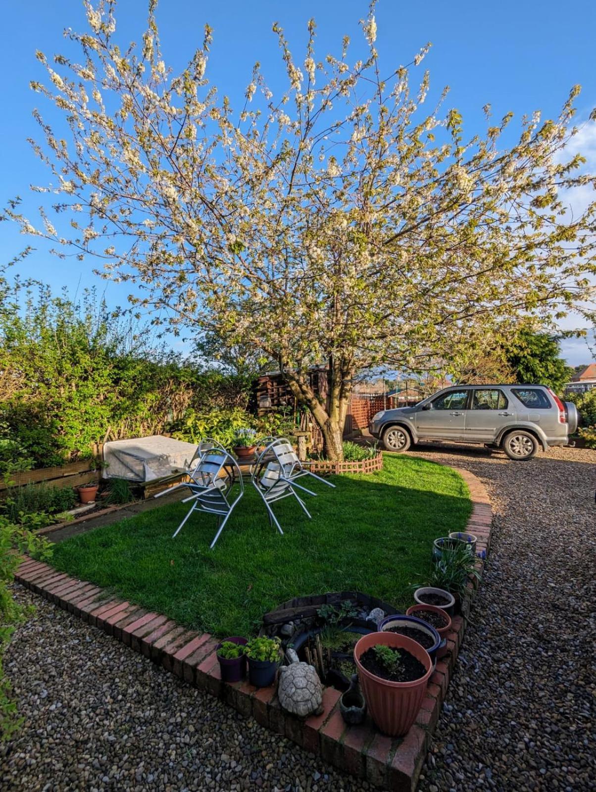 Number 18 Bed and Breakfast Whitby Buitenkant foto